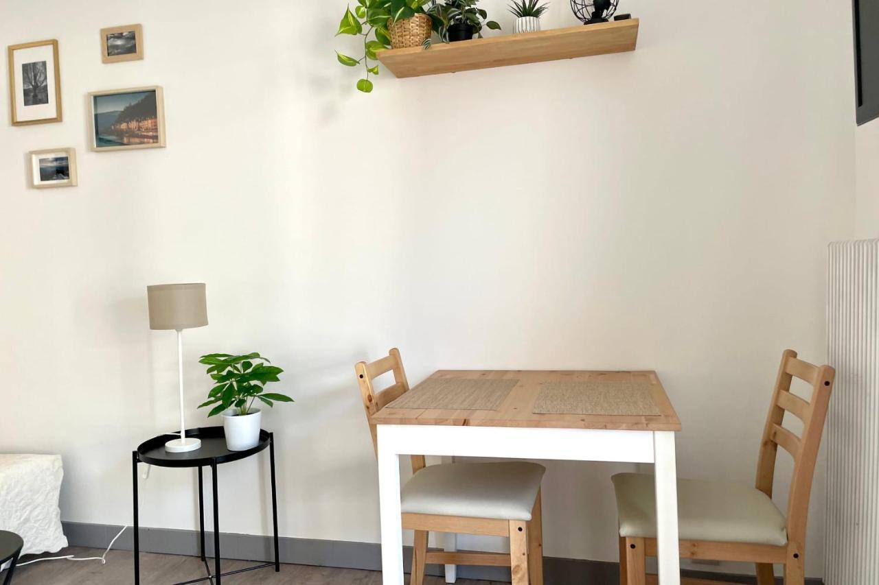 גרנובל #Dd L'Ecrin Studio Ile Verte Balcony מראה חיצוני תמונה